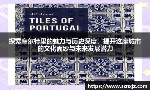 探索摩尔特里的魅力与历史深度，揭开这座城市的文化面纱与未来发展潜力