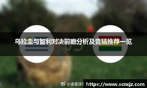 k1体育官方网站
