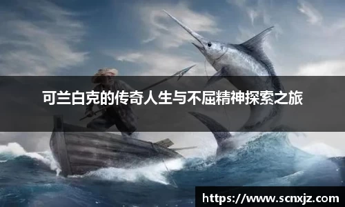k1体育官方网站