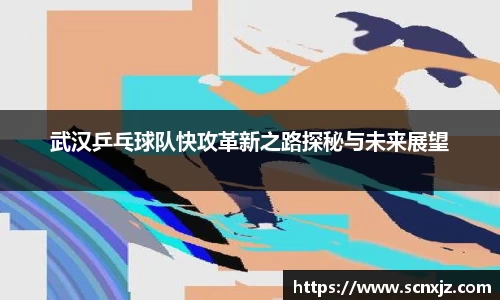 武汉乒乓球队快攻革新之路探秘与未来展望